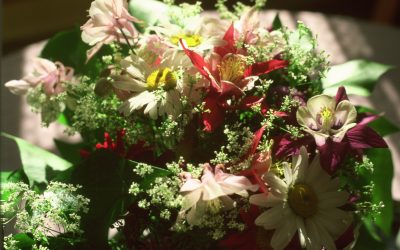 Bist du wirklich bereit?