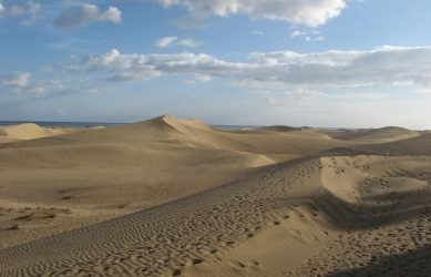 Auferstehung in die Wüste (1988)