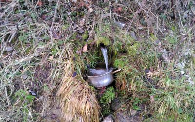 Liebesbeziehung anderer Art