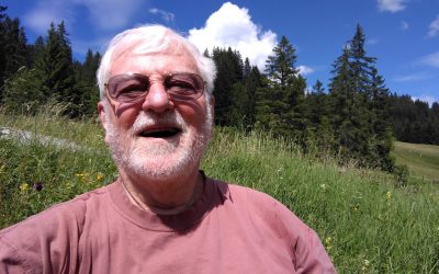 Brauchen wir Hirten?