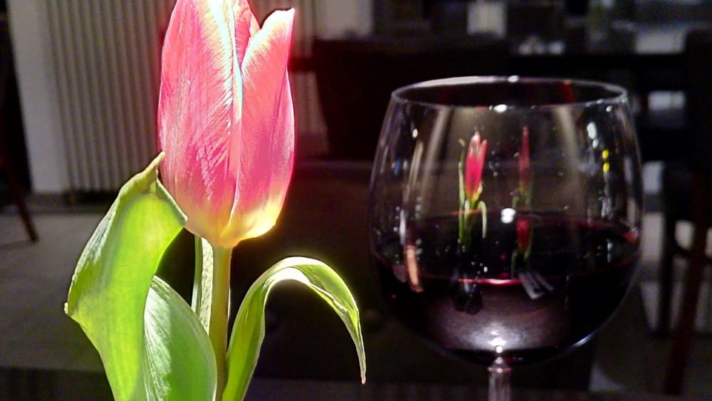 Tulpenblüte und Glas Rotwein 2022-02-13