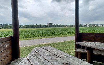 Frei vom Druck